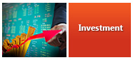 Investment