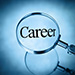 Career