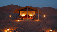Overnight Desert Safari