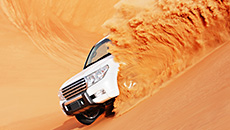 Desert Safari Day & Evening